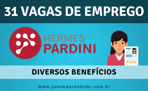 vagas.com hermes pardini